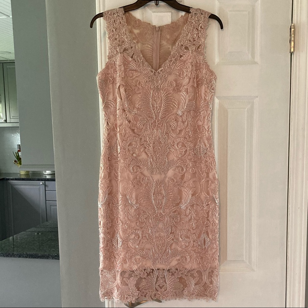 Tadashi Shoji Embroidered Lace Dress